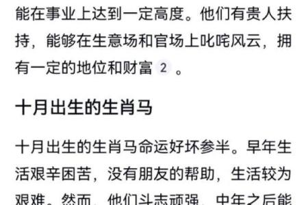 属马人本命年如何制定短期目标