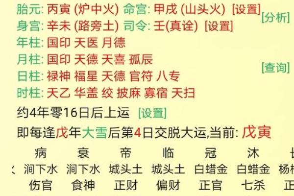 生辰八字字的五行分析与命运走向