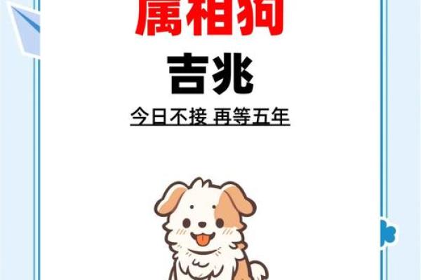 属狗人的事业与财运运势，必知