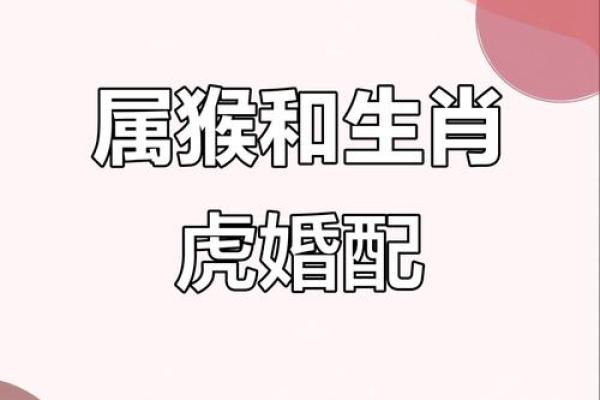 生肖匹配：属猴男与属马女的爱情前景