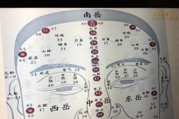 黄渤八字解析：揭开他背后不为人知的命运密码