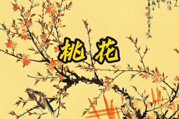 如何根据八字来分析自己的桃花运