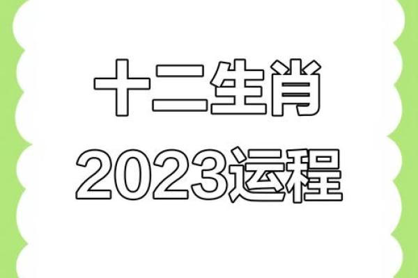 兔年运势大揭秘：万年历为你指点迷津