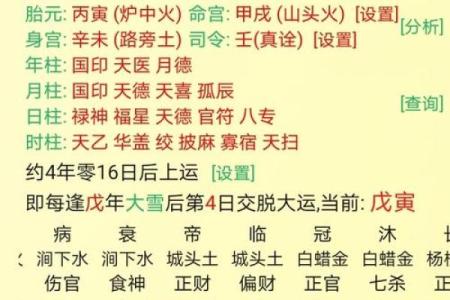 生辰八字字的五行分析与命运走向