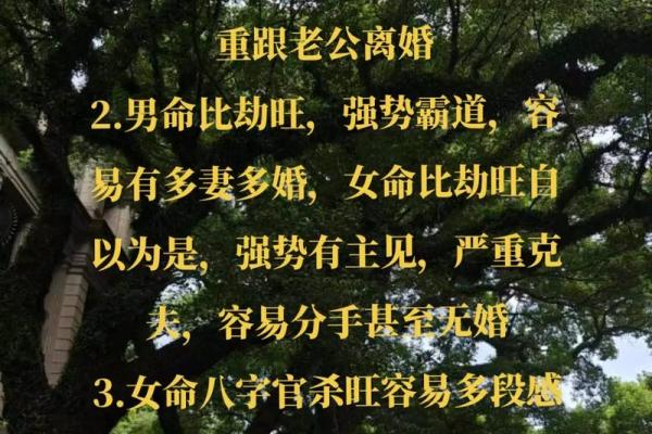 性开放女命的八字解读，感情生活是否更加多彩