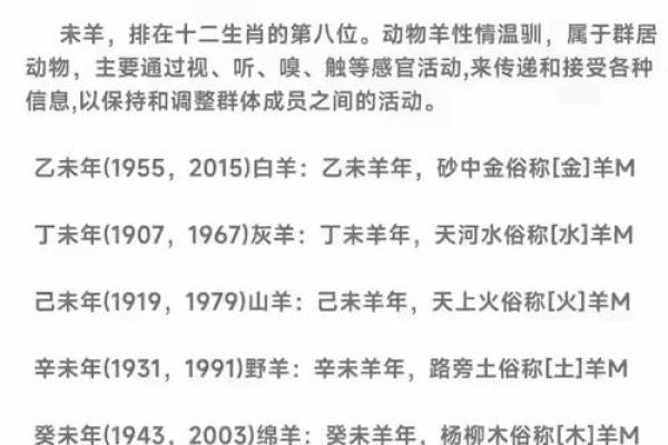 生辰八字揭示的五大命运关键，值得一看