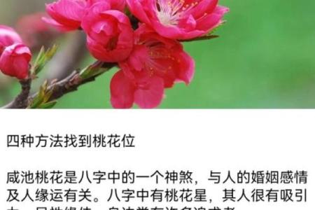 桃花运旺的八字特点与应对方法