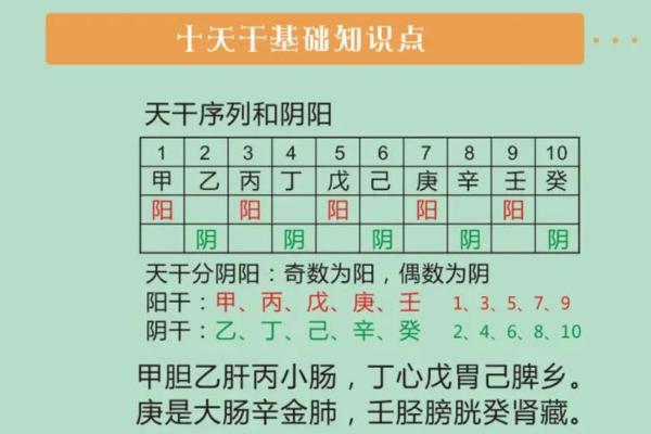 五行智慧助力职场提升，如何用五行调整职业发展路径