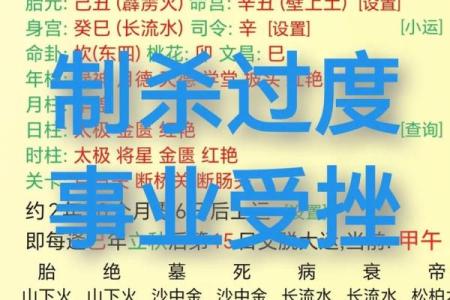 生辰八字解析：如何利用命运提升事业运