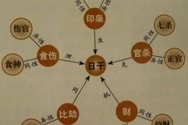 八字十神详解：如何通过命盘了解自己的人生轨迹