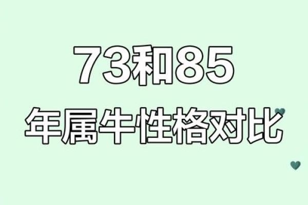 属马和属牛相配吗？探索两者性格互补与挑战