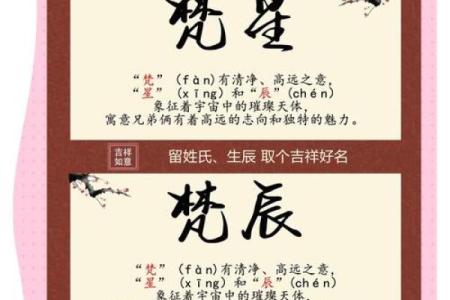 天字为灵感的女宝宝取名推荐，寓意美好独特