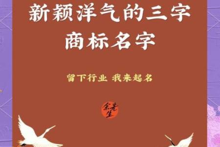 三个字公司名字大全，助力企业品牌快速崛起