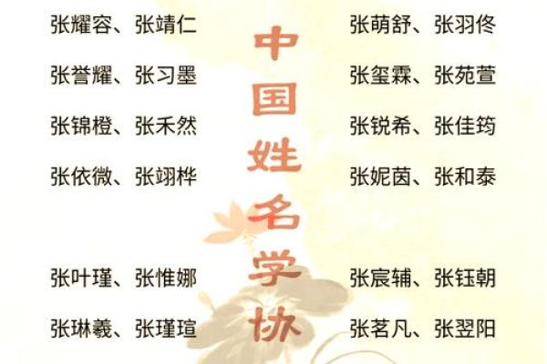 张姓女孩起名注意事项：如何选一个寓意深远的名字