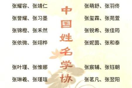 张姓女孩起名注意事项：如何选一个寓意深远的名字