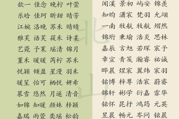 用圣经智慧为宝宝起名：展现信仰与美德的名字选择