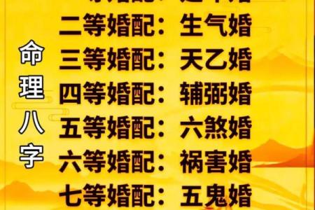八字婚姻解析：如何改善夫妻关系的命理建议