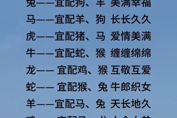 男狗女鸡婚姻是否合适？了解生肖配对的深层次影响