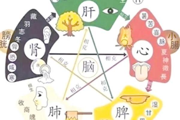 五行人测试：通过五行了解你的人生轨迹