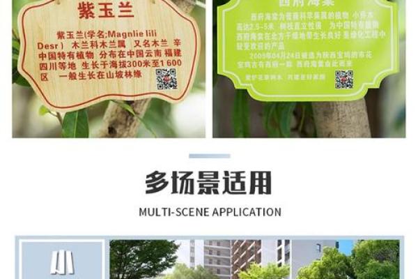 花卉苗木公司命名指南：打造与自然相呼应的品牌形象