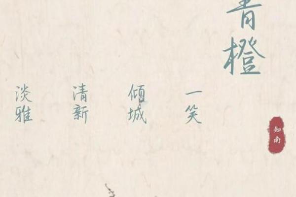 土字命名宝典：为宝宝选择富含象征意义的名字