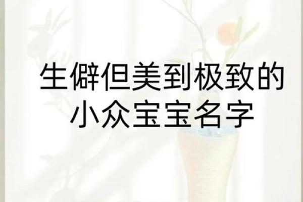 土字命名宝典：为宝宝选择富含象征意义的名字