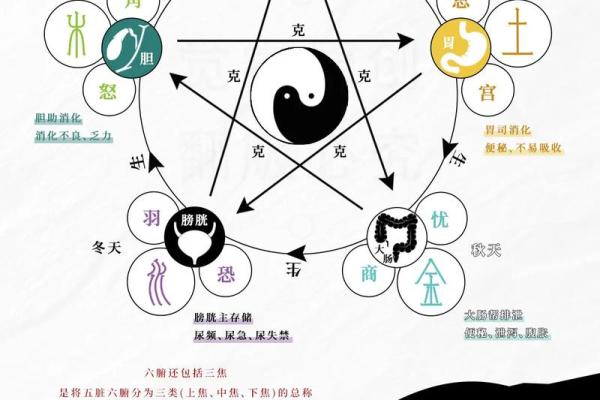 宋代风水中的阴阳五行理论应用