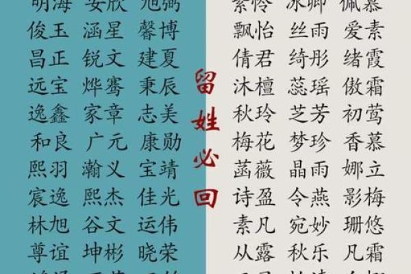 薛姓女孩起名技巧：优雅与智慧并存