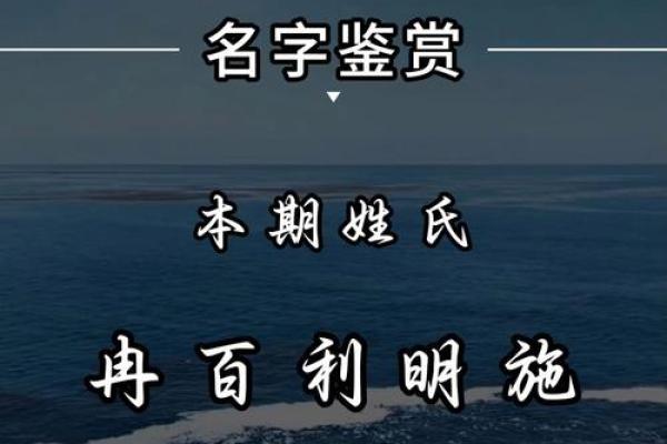 施姓男孩起名字推荐与技巧解析