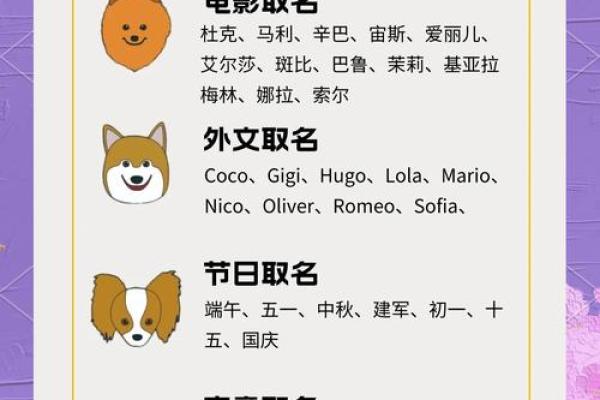 狗年宝宝起名：为男孩女孩挑选寓意深远的名字