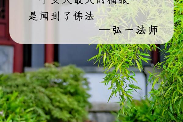 禅意万年历：揭秘佛家智慧生活