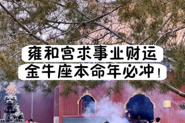 本命年属马如何在事业上迎难而上