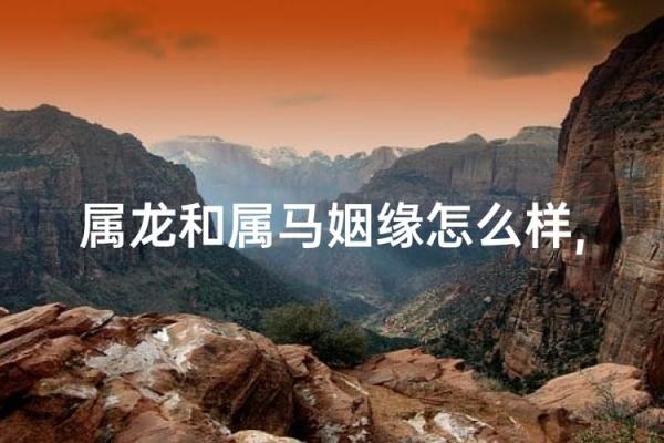 属龙和属马的婚姻配对是否和谐