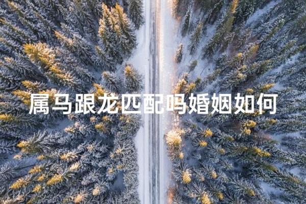 属龙和属马的婚姻配对是否和谐