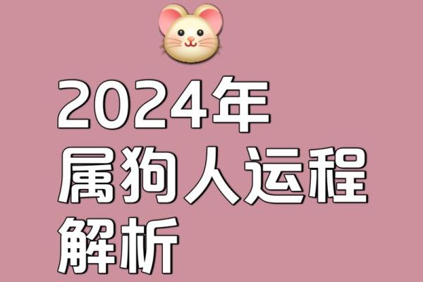属狗运势全面解析：挑战与机遇并存