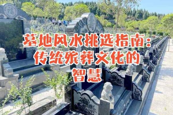 龙华地区办公风水专家排名分析与选择指南