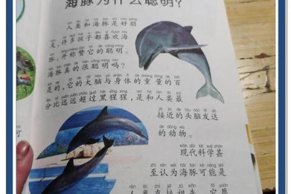 佛教万年历大揭秘：穿越时空的智慧之旅