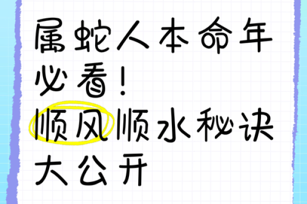 本命年属蛇人能否迎来事业高峰