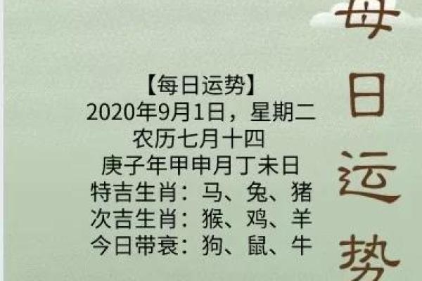 今日运势大揭秘：财运亨通，事业飞跃