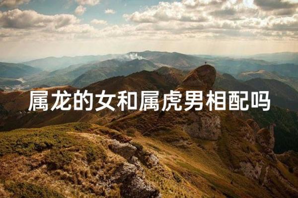 属虎男与属龙女的配对优缺点解析