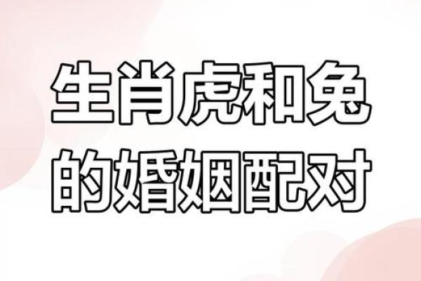 虎男与鸡女的性格差异与婚姻兼容性探讨