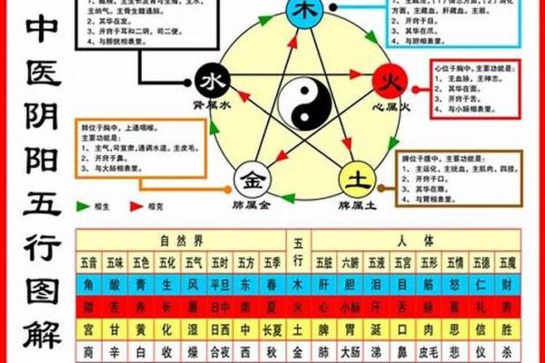机的五行属性解析：如何理解和运用五行理论提升运势