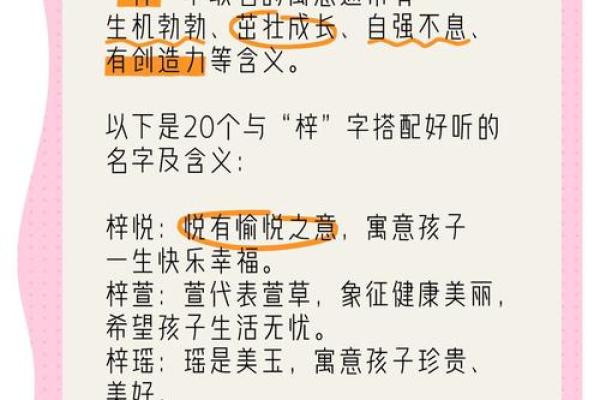 数理分析：如何为公司取一个吉祥的名字