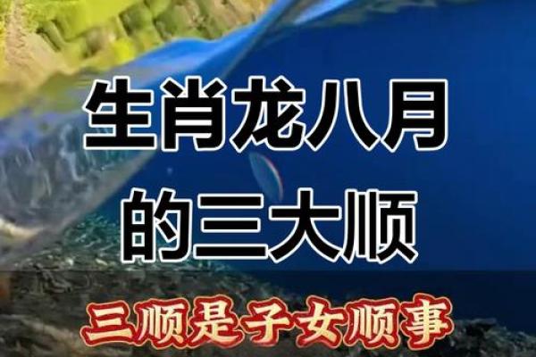 生肖龙运势大揭秘：财富、事业与感情全方位分析