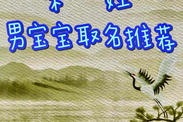 宋姓男宝宝名字推荐：充满力量与智慧的名字