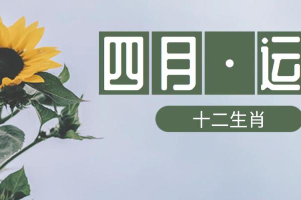 生肖运势逐月解析，助你掌握每月机会