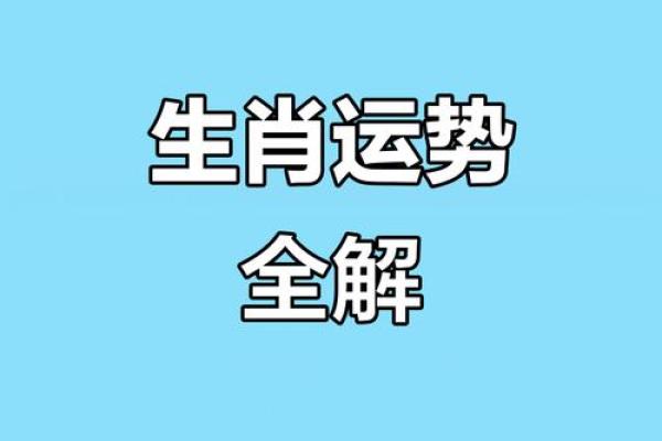 生肖运势逐月解析，助你掌握每月机会