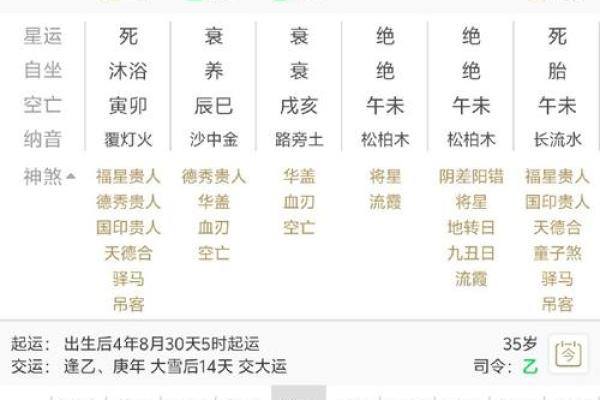 2025年紫微流年，揭秘天干地支运势大揭秘
