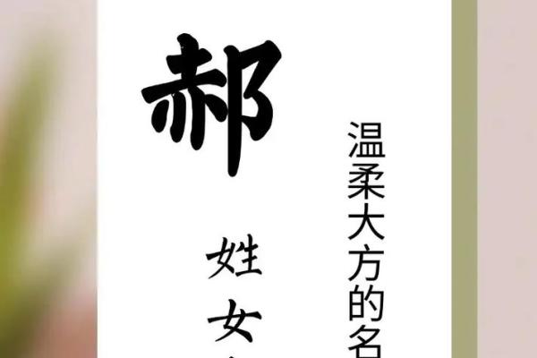 姓郝女孩取名的五大独特建议和寓意解析