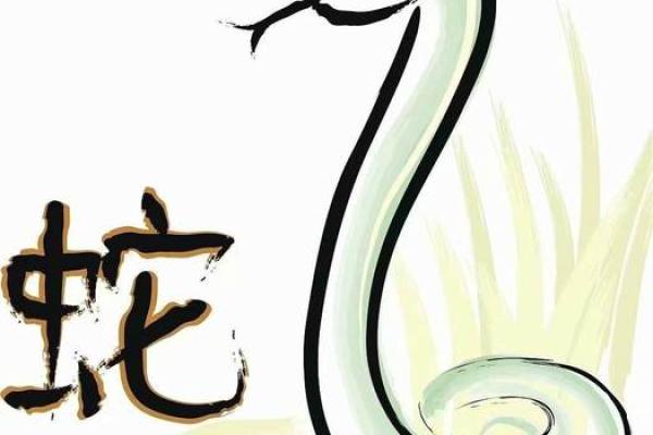 属猪女与属蛇男的爱情长跑如何经营